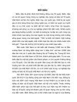 Tiểu luận cao cấp chính trị: Nhiệm vụ quản lý, đấu tranh bảo vệ chủ quyền biển, đảo Việt Nam trong giai đoạn hiện nay