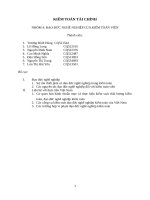 Các công cụ kiểm soát đạo đức nghề nghiệp kiểm toán của việt nam 