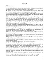 Câu hỏi và bài tập tổ chức xây dựng