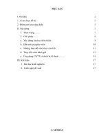 SK giai phap va phuong tien ki thuat day vnen hieu qua Dinh Ngoc Tu