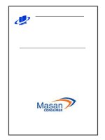 Chiến lược kinh doanh, bán hàng của công ty masan consumer 