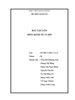 BÀI TẬP LỚN MÔN KINH TẾ VI MÔ 