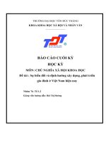 Đề tài sự biến đổi và định hướng xây dựng, phát triển gia đình ở việt nam hiện nay 