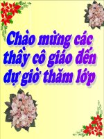 Bai 27 Cau tran thuat don co tu la