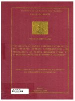 The effects of guidee extensive reading on efl students reading comprehension and motivation an action research study at class k50a5, national economics university  