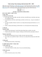 Giáo án Mỹ thuật lớp 2 sách Chân trời sáng tạo