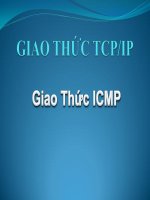 3 3 GiaothucICMP giới thiệu chung