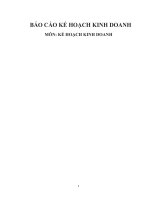 BẢN-KẾ-HOẠCH-KD-DỊCH-VỤ-THÚ-CƯNG