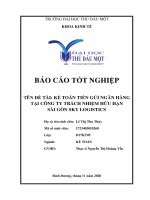 Kế toán tiền gửi ngân hàng tại công ty trách nhiệm hữu hạn sài gòn sky logistics  