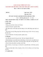 Giáo án dạy thêm ngữ văn 6 sách kết nối tri thức với cuộc sống (kì 1, chất lượng) 