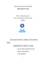 KẾ HOẠCH PHÁT TRIỂN SẢN PHẨM MỚI KEM SỮA CHUA YAR 