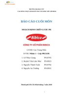 HOẠCH ĐỊNH CHIẾN LƯỢC PR BIBICA