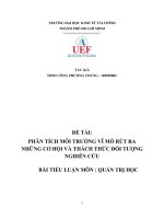 PHÂN TÍCH MÔI TRƯỜNG VĨ MÔ RÚT RA NHỮNG CƠ HỘI VÀ THÁCH THỨC đối TƯỢNG NGHIÊN CỨU 