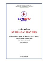 Giáo trình Kỹ thuật an toàn điện (Trung cấp) - Trường CĐ Điện lực Miền Bắc