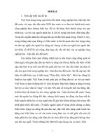 Thạc sĩ quản lý công  “quản lý nhà nước về đào tạo nghề cho người dân tộc thiểu số trên địa bàn tinh kiên giang