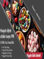 HOẠCH ĐỊNH CHIẾN LƯỢC PR BIBICA