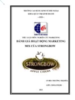 TIỂU LUẬN MÔN NGHIÊN CỨU MARKETING ĐÁNH GIÁ HOẠT ĐỘNG MARKETING MIX CỦA STRONGBOW 