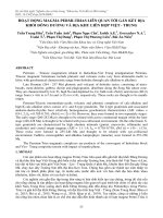 Hoạt động magma Permi-Trias liên quan tới gắn kết địa khối Đông Dương và địa khu liên hợp Việt - Trung