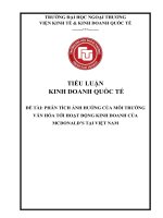 TIỂU LUẬN KINH DOANH QUỐC TẾ PHÂN TÍCH ẢNH HƯỞNG CỦA MÔI TRƯỜNG VĂN HÓA TỚI HOẠT ĐỘNG KINH DOANH CỦA MCDONALD’S TẠI VIỆT NAM