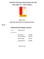 BÁO CÁO BÀI TẬP LỚN ANTEN VÀ TRUYỀN SÓNG đề tài wideband patch dipole antenna