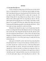 Luận văn, nâng cao chất lượng đội ngũ cán bộ, công chức người dân tộc thểu số tỉnh quảng nam