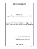 THỰC TRẠNG XÂY DỰNG NỘI QUY LAO ĐỘNG TẠI CÔNG TY 49 – BỘ TƯ LỆNH CÔNG BINH