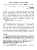 Xuất khẩu rau quả Việt Nam: Thực trạng và một số giải pháp