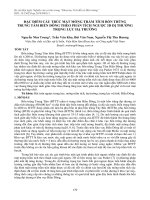 Đặc điểm cấu trúc mặt móng trầm tích bồn trũng trung tâm biển Đông theo phân tích ngược 3D dị thường trọng lực hạ trường