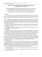 Những kết quả mới trong nghiên cứu động đất và sóng thần ở Việt Nam