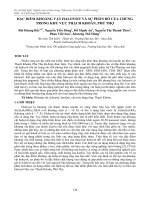 Đặc điểm khoáng vật haloysit và sự phân bố của chúng trong khu vực Thạch Khoán, Phú Thọ