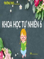 ÔN TẬP CHỦ ĐỀ 1 KHOA HỌC TỰ NHIÊN 6
