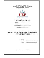 HOẠCH ĐỊNH CHIẾN LƯỢC MARKETING XÚC XÍCH MINIONS 