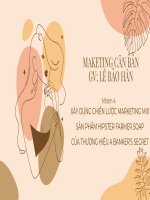  XÂY DỰNG CHIẾN LƯỢC MARKETING MIX SẢN PHẨM HIPSTER FARMER SOAP CỦA THƯƠNG HIỆU a BANKER’S SECRET 