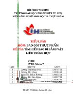 tiểu luận môn bao gói thực phẩm   tìm HIỂU BAO bì BẰNG vật LIỆU TRÙNG hợp