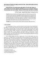 Ảnh hưởng của phân NPK đến một số chỉ tiêu sinh lý, hóa sinh của cây dẻ Trùng Khánh (Castanea mollisima Blume) ở giai đoạn cây con trồng trong vườn ươm tại tỉnh Cao Bằng