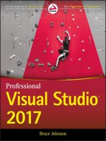 Professional visual studio 2017 