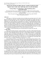 Bước đầu đánh giá hiện trạng vi khuẩn kháng sinh trong mẫu nước mặt trên địa bàn Tp. Hồ Chí Minh
