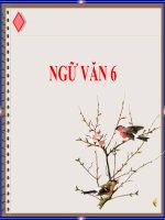 bài 8 VB XEM NGƯỜI TA kìa + THỰC HÀNH TV  KNTT