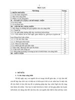 Sáng kiến kinh nghiệm 2021 hướng dẫn học sinh thảo luận nhóm trong có hiệu quả nhắm nâng cao kết quả học tập môn ngữ văn tại trường PTDTBT THCS thiện hòa 