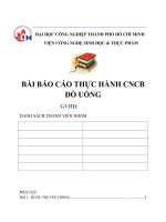 THỰC HÀNH CÔNG NGHỆ THỰC PHẨM   bài báo cáo THỰC HÀNH CÔNG NGHỆ CHẾ BIẾN  đồ UỐNG