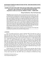 Nghiên cứu khả năng diệt trừ sâu hại trên giống cải bẹ trắng (Brassica rapa Chinensis) từ dung dịch quả Bồ hòn (Sapindus mukorossi Gaertn) trồng ở Thừa Thiên-Huế