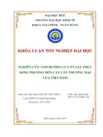 Nghiên cứu ảnh hưởng củatỷ giá thựcsong phươngđếncán cân thương mạicủa việt nam  