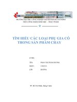 TÀI LIỆU THAM KHẢO CÔNG NGHỆ THỰC PHẨM   tìm HIỂU PHỤ GIA có TRONG các sản PHẨM CHAY