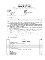 Giáo trình Bệnh học cơ sở - Trường Cao đẳng Y tế Ninh Bình