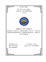 Đánh giá cảm nhận của khách hàng về chất lượng dịch vụ chăm sóc khách hàng tại vinpearl hotel huế   công ty cổ phần vinpearl  