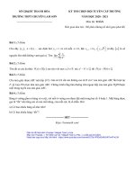 Đề thi HSG Toán cấp trường năm 2020 – 2021 trường chuyên Lam Sơn – Thanh Hóa