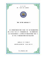 Giải pháp hoàn thiện hoạt động marketing trực tuyến đối với website chương trình thẻ giảm giá hues của công ty trách nhiệm hữu hạn một thành viên tân nguyên 