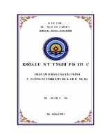 Phân tích báo cáo tài chính của công ty tnhh mtv du lịch đống đa 