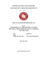 TIỂU LUẬN KINH DOANH QUỐC TẾ ẢNH HƯỞNG CỦA MÔI TRƯỜNG VĂN HOÁ ĐẾN HOẠT ĐỘNG KINH DOANH CỦA SHOPEE TẠI VIỆT NAMẢNH HƯỞNG CỦA MÔI TRƯỜNG VĂN HOÁ ĐẾN HOẠT ĐỘNG KINH DOANH CỦA SHOPEE TẠI VIỆT NAM