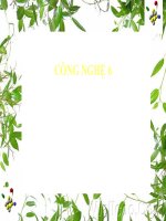 tiết 3+4 Bài 2 SỬ DỤNG NĂNG LƯỢNG TRONG GIA ĐÌNH